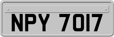 NPY7017