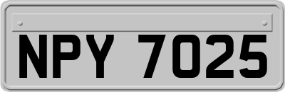 NPY7025