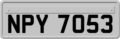 NPY7053