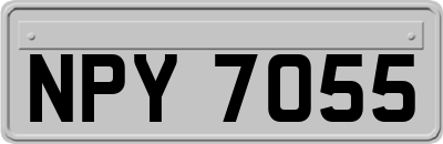 NPY7055