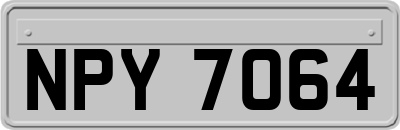 NPY7064