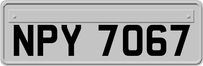 NPY7067