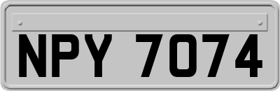 NPY7074