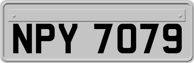 NPY7079