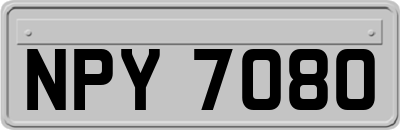 NPY7080