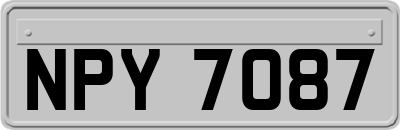 NPY7087