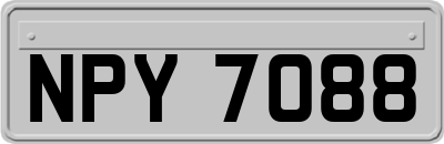 NPY7088