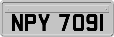 NPY7091