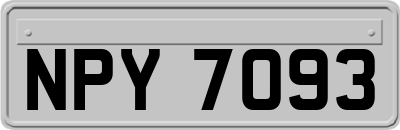 NPY7093