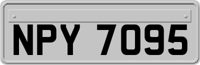 NPY7095