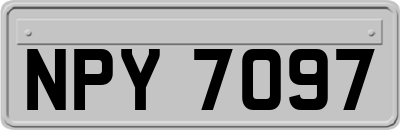 NPY7097