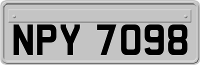 NPY7098
