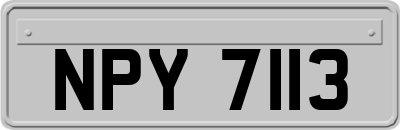 NPY7113