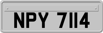 NPY7114