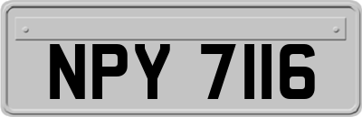 NPY7116