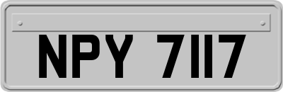 NPY7117