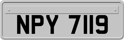 NPY7119