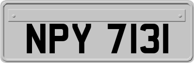 NPY7131