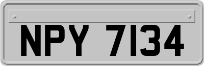 NPY7134