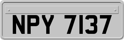 NPY7137