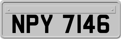 NPY7146