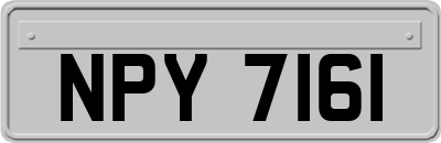 NPY7161