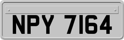 NPY7164