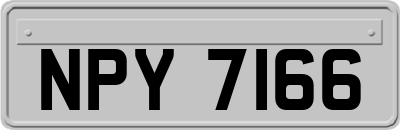 NPY7166