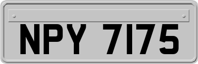 NPY7175