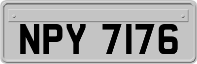 NPY7176