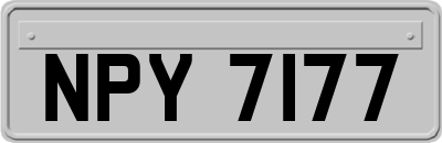NPY7177