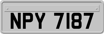 NPY7187