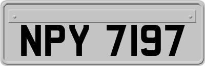 NPY7197