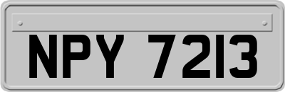 NPY7213