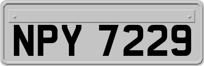 NPY7229