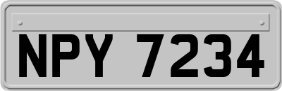 NPY7234