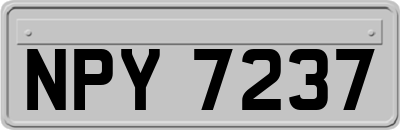 NPY7237