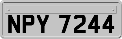 NPY7244