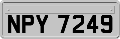NPY7249