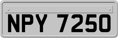 NPY7250