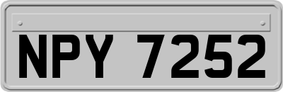 NPY7252