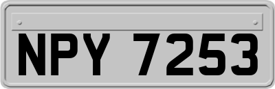 NPY7253