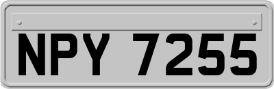 NPY7255