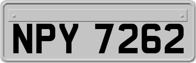 NPY7262
