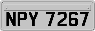 NPY7267