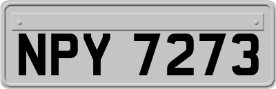 NPY7273