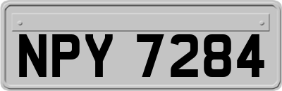 NPY7284