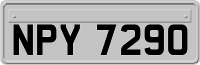 NPY7290