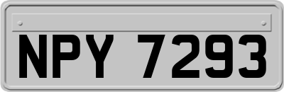 NPY7293