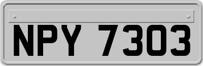 NPY7303